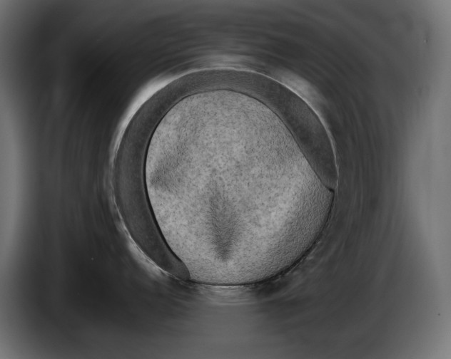 X0000086011152200704131822