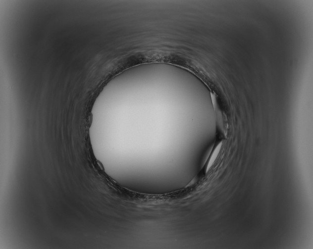 X0000086011153200704131821