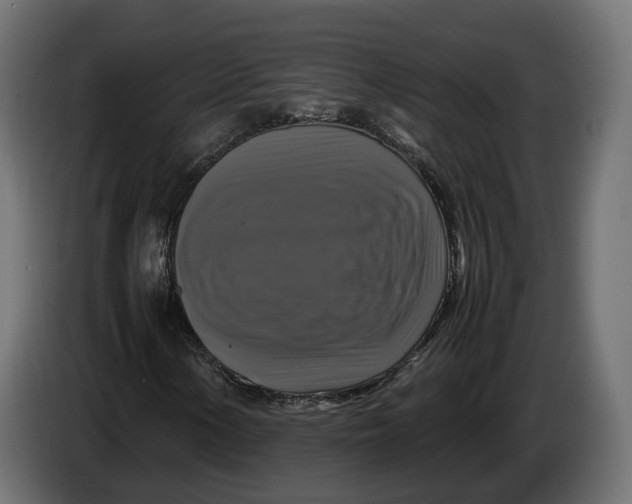 X0000086011154200704131821