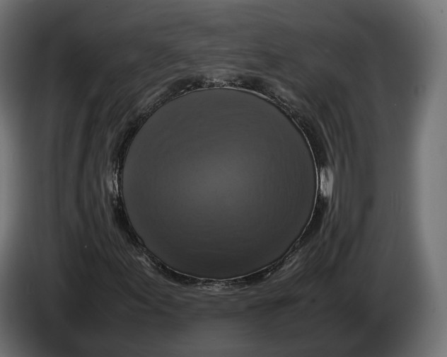 X0000086011155200704131821
