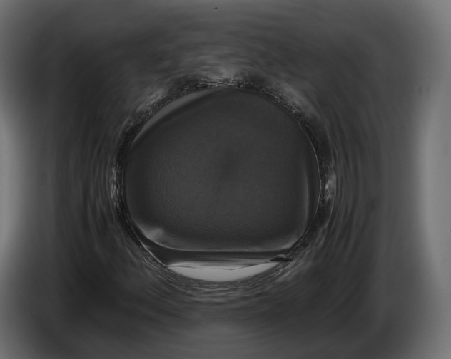 X0000086011156200704131821