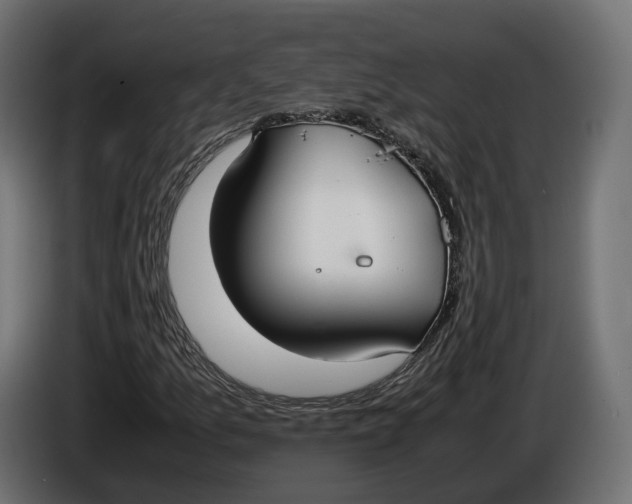 X0000086011157200704131821