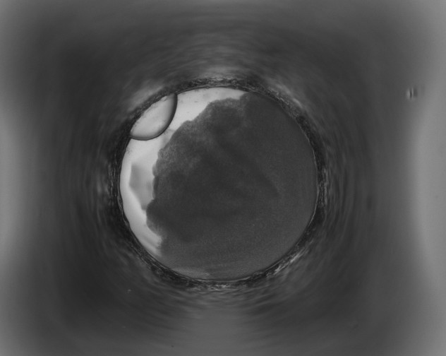 X0000086011158200704131821
