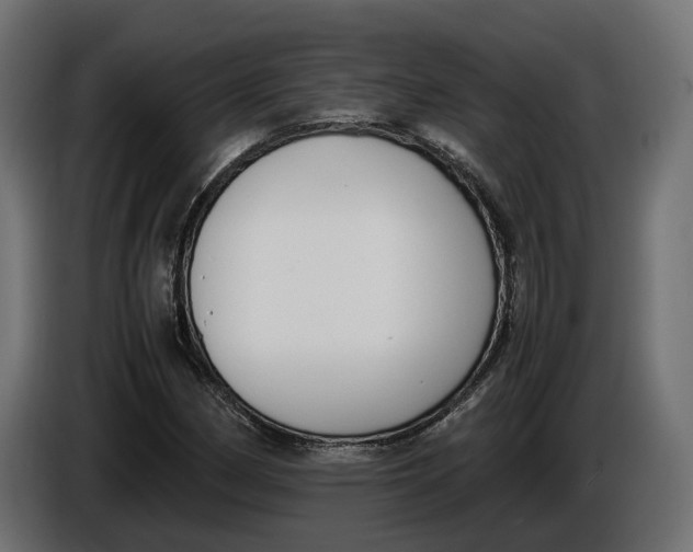 X0000086011162200704131821