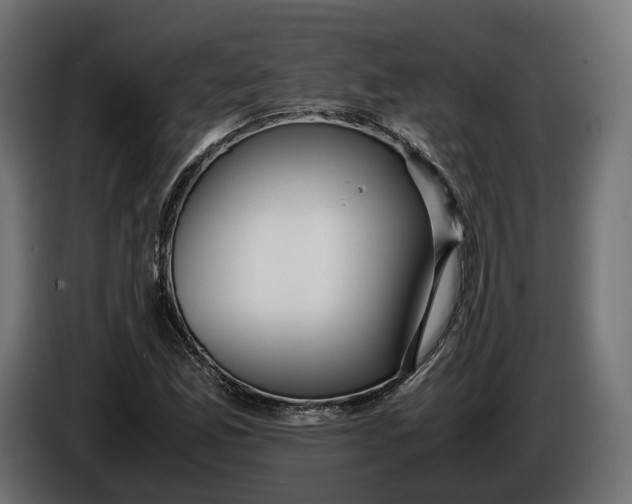 X0000086011165200704131821