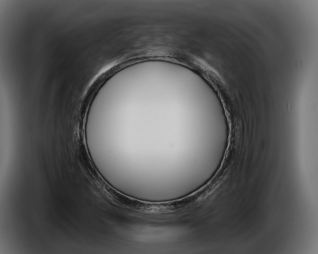 X0000086011166200704131821