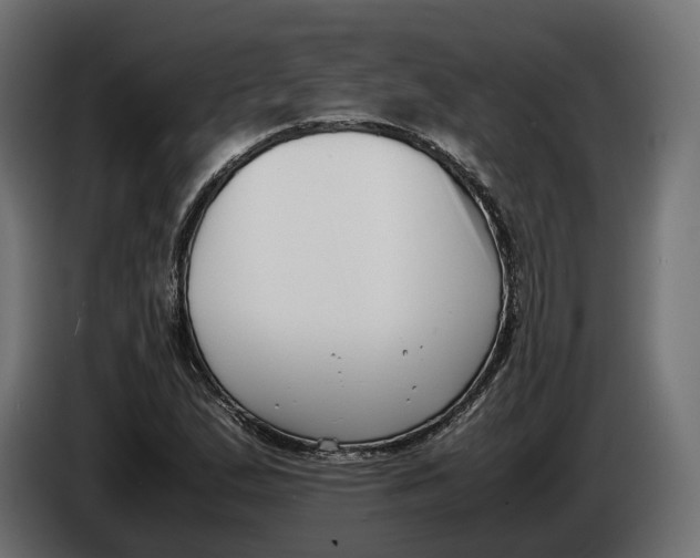 X0000086011167200704131821