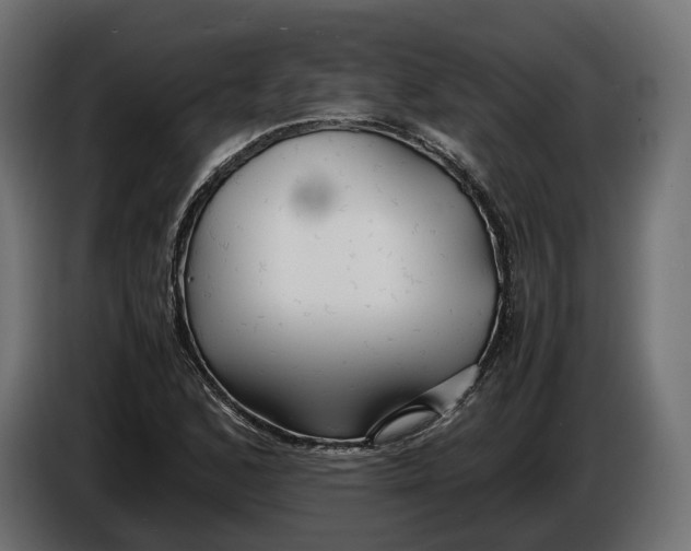 X0000086011168200704131821