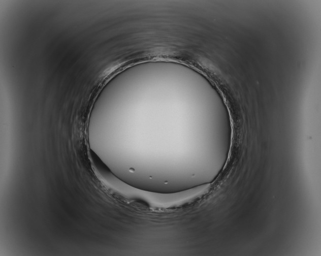 X0000086011169200704131821