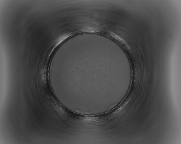 X0000086011170200704131821