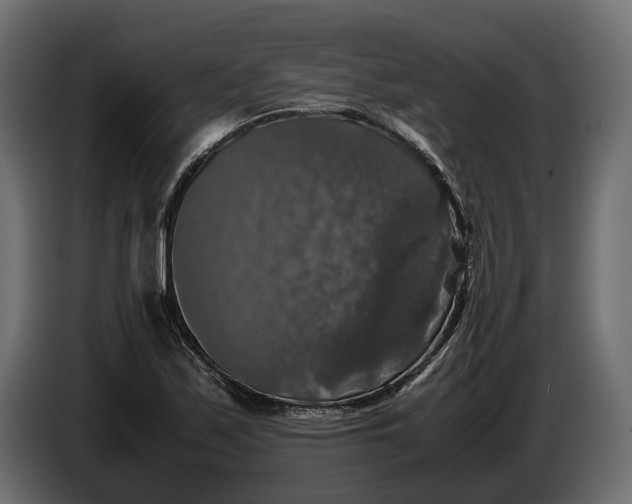 X0000086011171200704131821