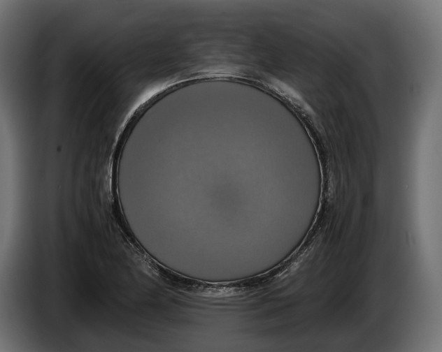 X0000086011174200704131821