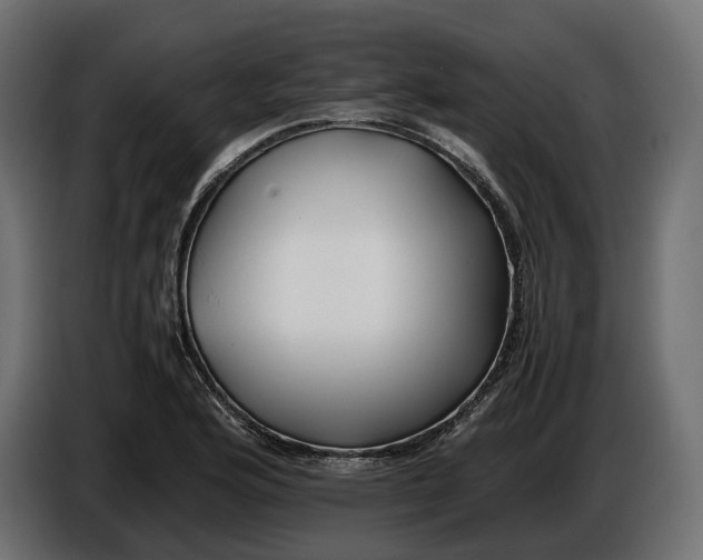 X0000086011176200704131821