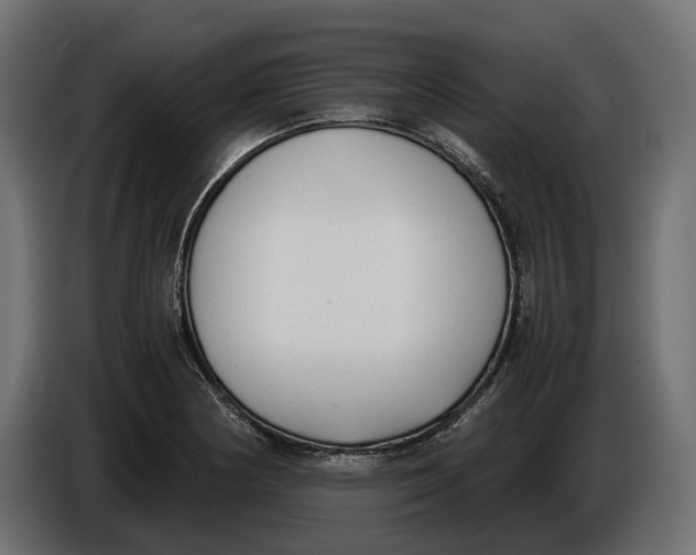 X0000086011178200704131821