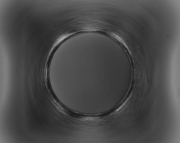 X0000086011179200704131821