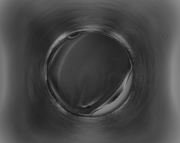 X0000086011180200704131821