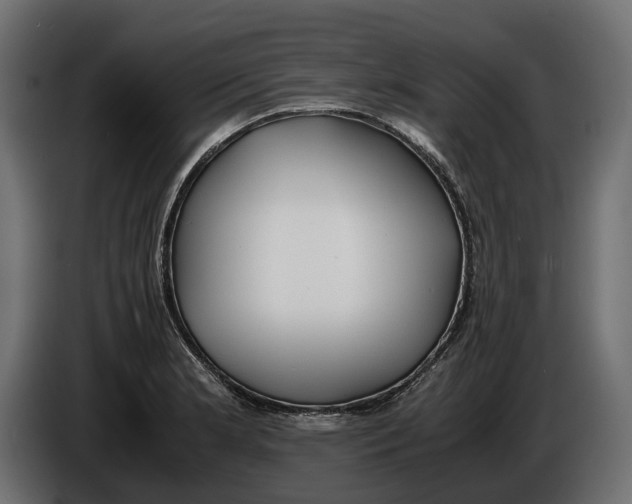 X0000086011181200704131821