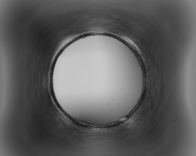 X0000086011183200704131821