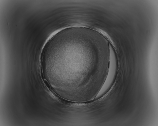 X0000086011184200704131821