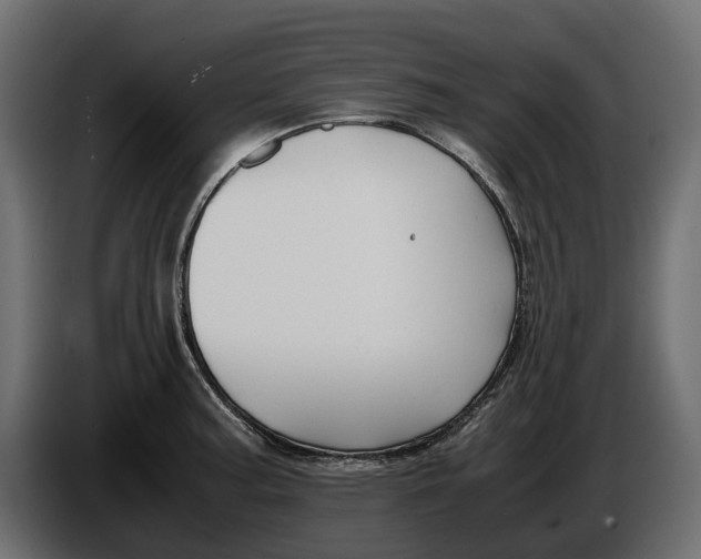 X0000086011187200704131821