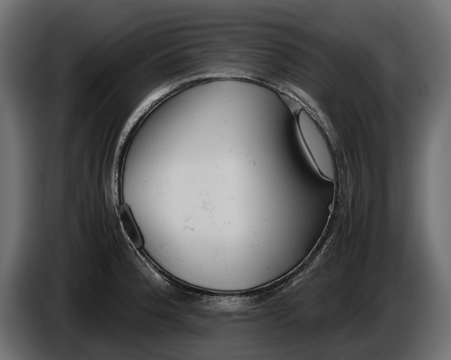 X0000086011188200704131821