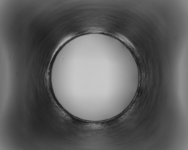 X0000086011190200704131821