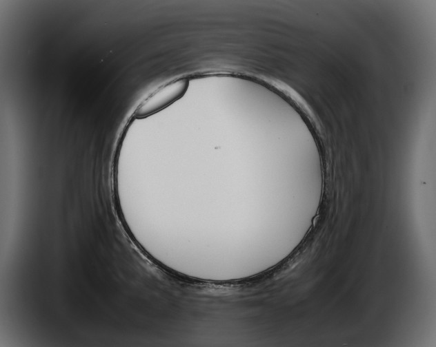 X0000086011191200704131821
