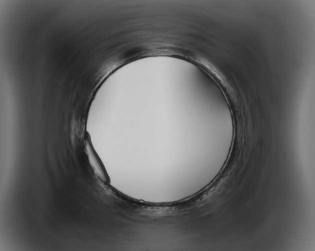 X0000086011193200704131821