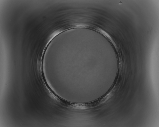 X0000086011194200704131821
