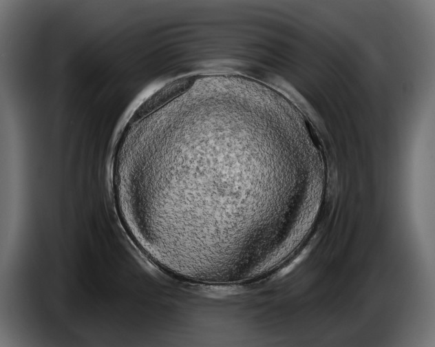 X0000086011196200704131821