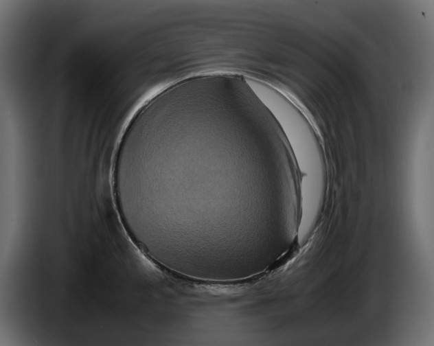 X0000086011197200704131821