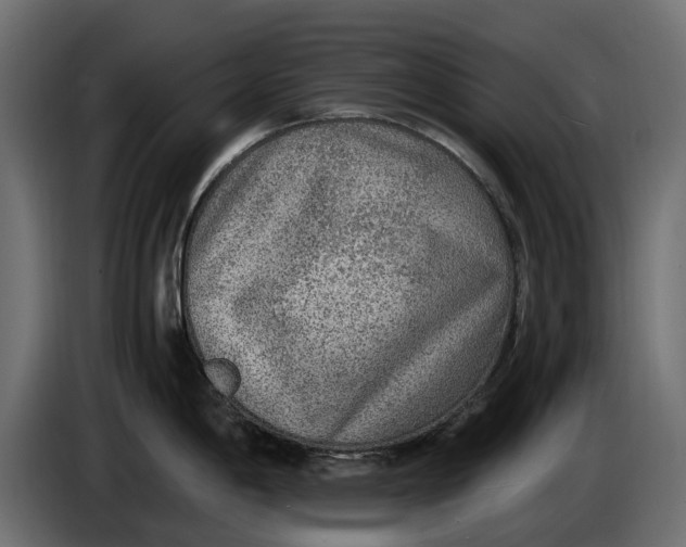 X0000086011198200704131821