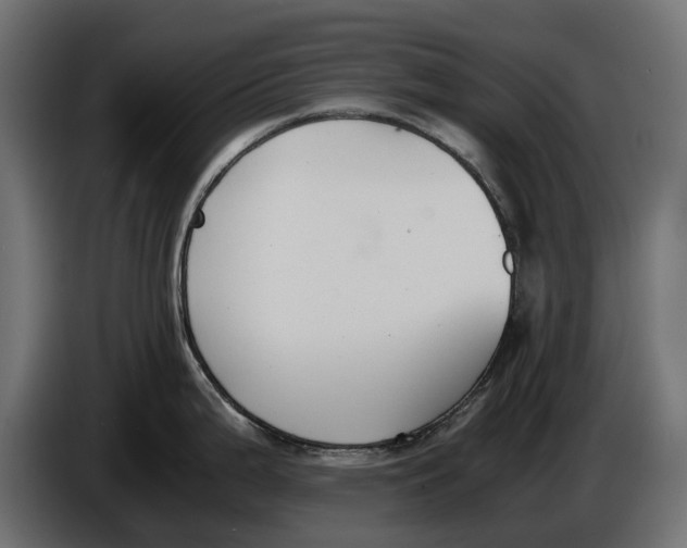 X0000086011199200704131821