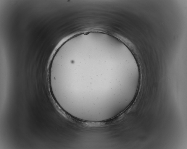 X0000086011200200704131821