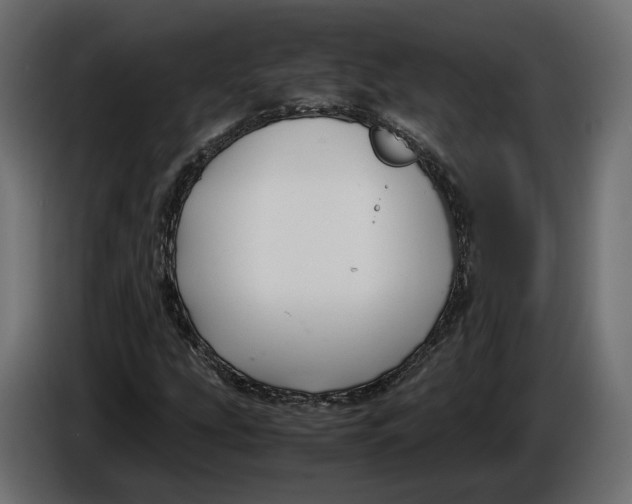 X0000086011207200704131820