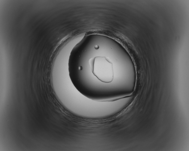 X0000086011210200704131820