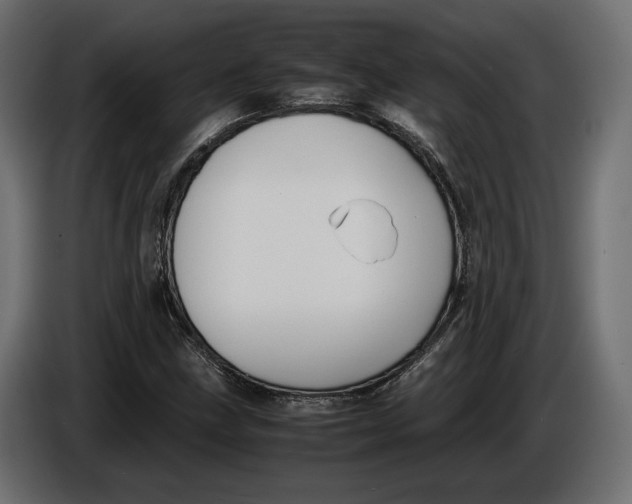 X0000086011211200704131820
