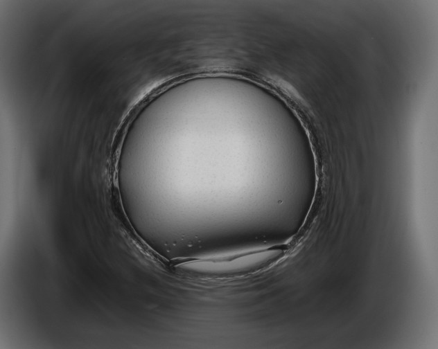 X0000086011212200704131820