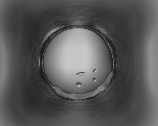 X0000086011214200704131820