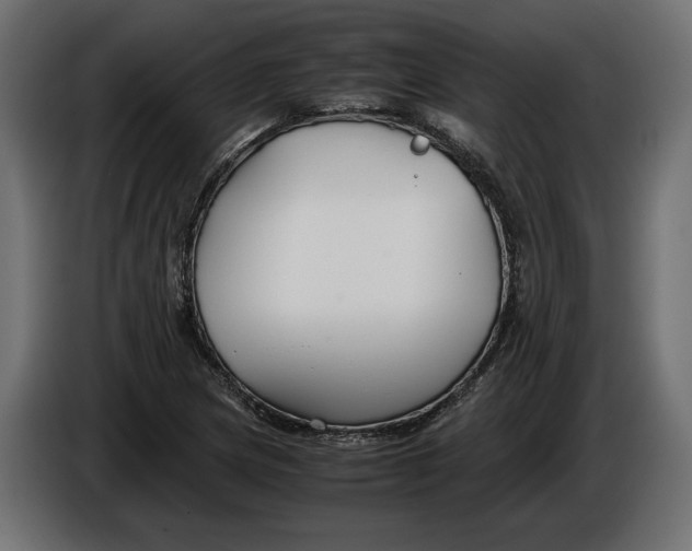 X0000086011217200704131820