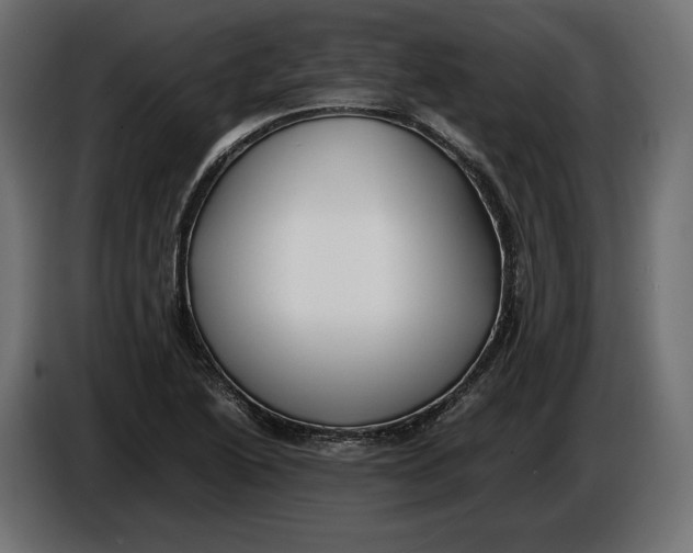 X0000086011222200704131820