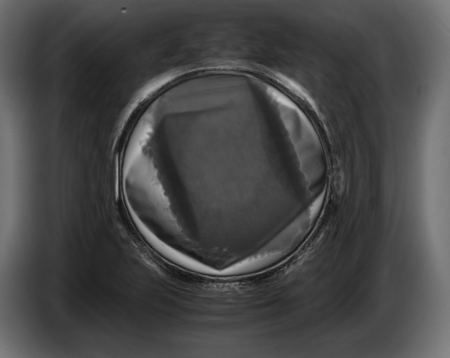 X0000086011223200704131820
