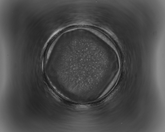 X0000086011224200704131820