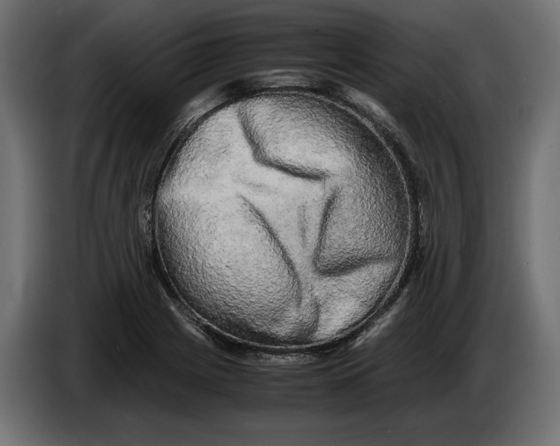X0000086011225200704131820