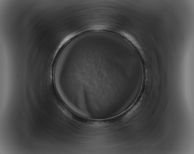 X0000086011226200704131820