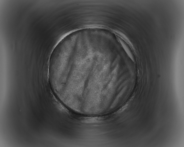 X0000086011228200704131820