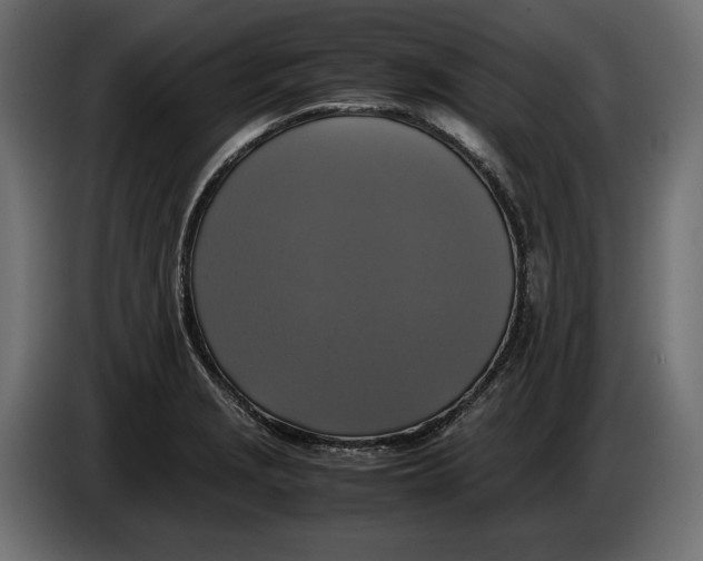 X0000086011229200704131820