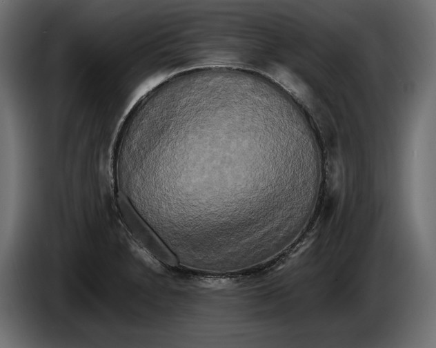 X0000086011230200704131820