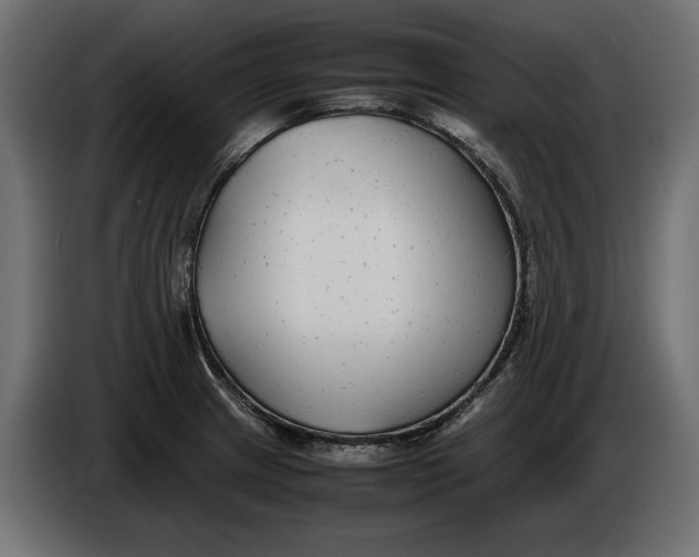 X0000086011233200704131820