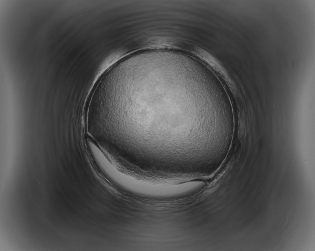 X0000086011234200704131820